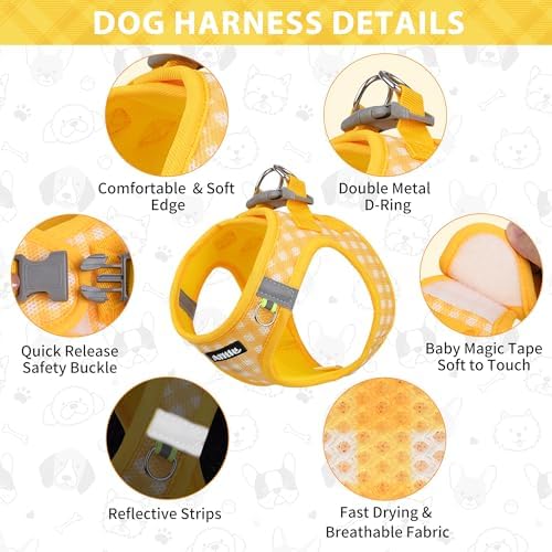 AIITLE Step in Small Dog Harness and Leash Set, Puppy Pet Vest - Image 5