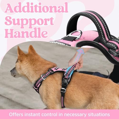 rabbitgoo Dog Harness Small Sized, No Pull 3 Buckles Easy On & Off - Image 4
