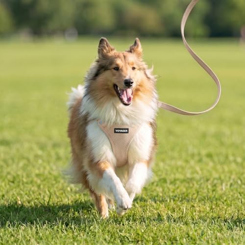 Best Pet Supplies Voyager Step-in Air All Weather Mesh Harness and Reflective - Image 7