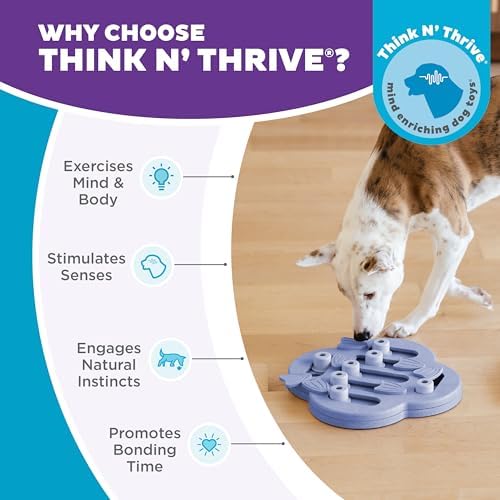 Outward Hound Nina Ottosson Dog Hide N' Slide Dog Toy Treat Puzzle - Image 6
