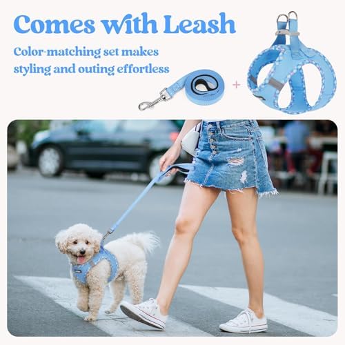 rabbitgoo Dog Harness Medium Sized and Leash Set, Step-in Puppy Pet Vest - Image 5