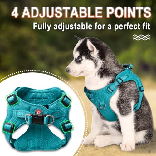 Dog Harness Step in Dog Vest Harness, Reflective Adjustable Puppy No Pull - Image 3