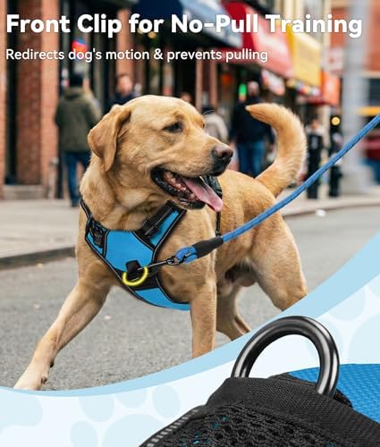 Joytale No Pull Dog Harness for Small Dogs, Front Clip, Sky Blue - Image 2