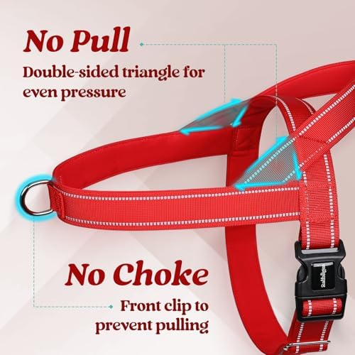 rabbitgoo Dog Harness No Pull, Quick Fit - Image 3