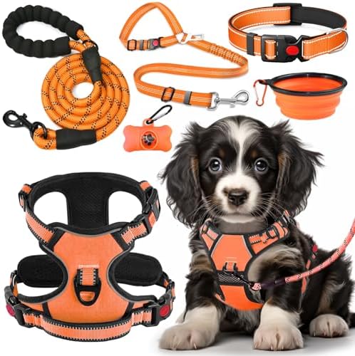 LOBEVE No Pull Dog Harness, Collar & Leash Set by Lovebegetslove