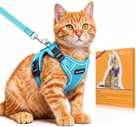 Cat Harness and Leash Set, Escape Proof Kitten Harness, Night Blue by DOMoreWithYourPet