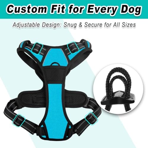 BARKBAY Dog Harness for Small Sized Dog No Pull 2 Leash Clips Dog Vest - Image 6