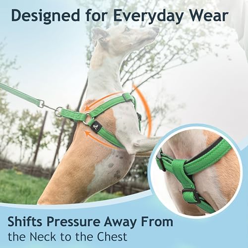KRUZ No Pull Dog Harness Heavy-Duty Pet Harness - Image 6