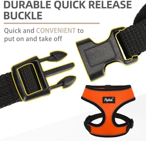 PUPTECK Small Dog Harness and Leash Set No Pull - Image 4