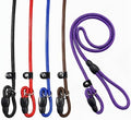 FOVRLZSE 5-Pack Dog Slip Leashes 4.6FT Nylon Training Lead, 5 Colors by FOVRLZSE