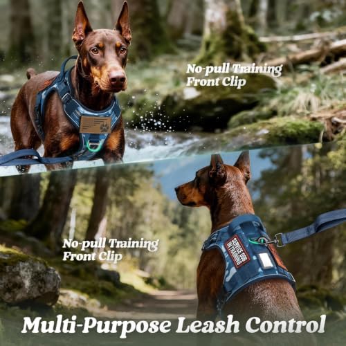 rabbitgoo Tactical Dog Harness Medium Sized, No Pull Service Pet Vest - Image 3