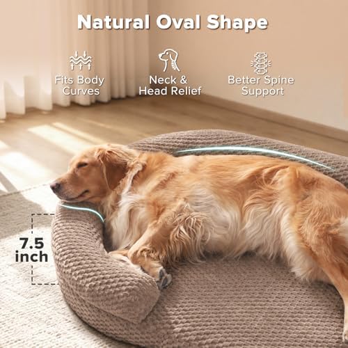 JOEJOY XXL Orthopedic Extra Large Dog Bed - Image 2