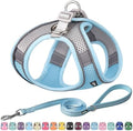 AIITLE Medium Dog Harness and Leash Set, Step-in Puppy Pet Vest by AIITLE-FORPETSBETTERLIFE