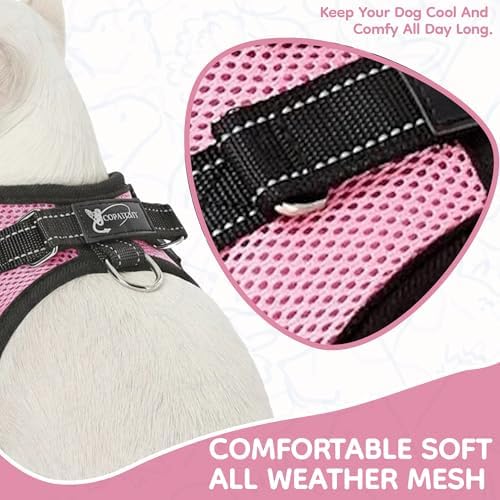 No Pull Reflective Adjustable Dog Harness - Image 3