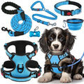 LOBEVE No Pull Dog Harness, Collar & Leash Set by Lovebegetslove
