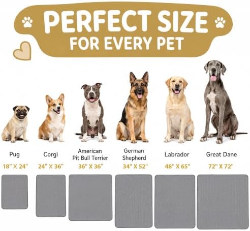 CoolShields Washable Pee Pads for Dogs, 1 Pack - Image 2