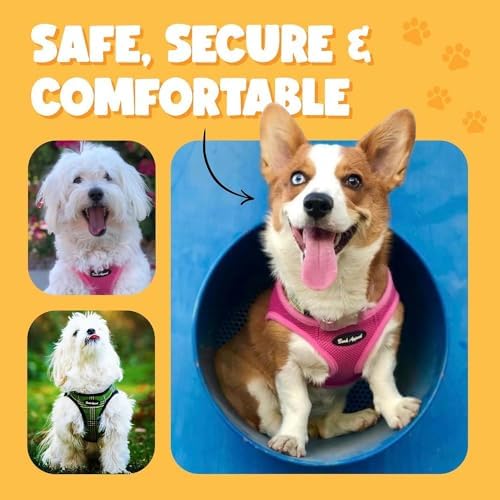 Bark Appeal Red Hibiscus Step-in Dog Harness - Image 5