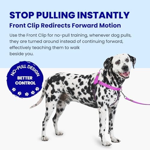 Freedom No Pull Dog Harness, Medium/Large - Image 2
