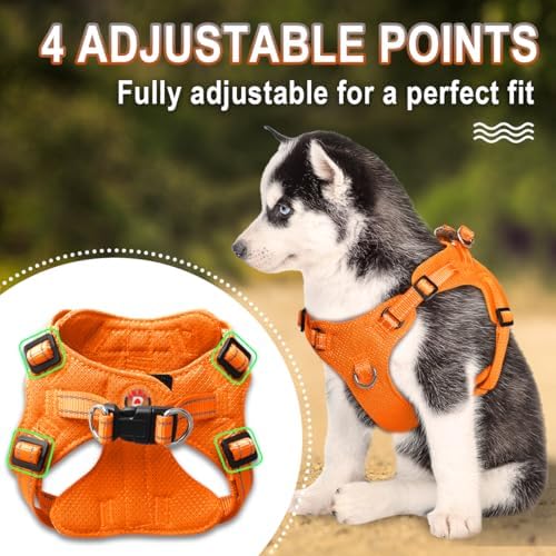 BARKBAY Small Dog Harness, No Pull Puppy Harness, Step-in Dog Vest - Image 3
