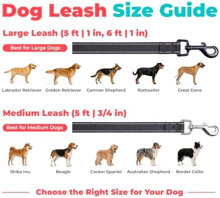 Best Pet Supplies Voyager Nylon Dog Leash - 6ft Black - Image 6