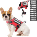 Service Dog Vest Harness and Leash Set+10 Patches, No Pull&Adjustable by MOOGROUPETSFRIEND