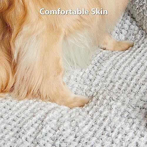 LEXTRO Washable Orthopedic Dog Bed - Image 5