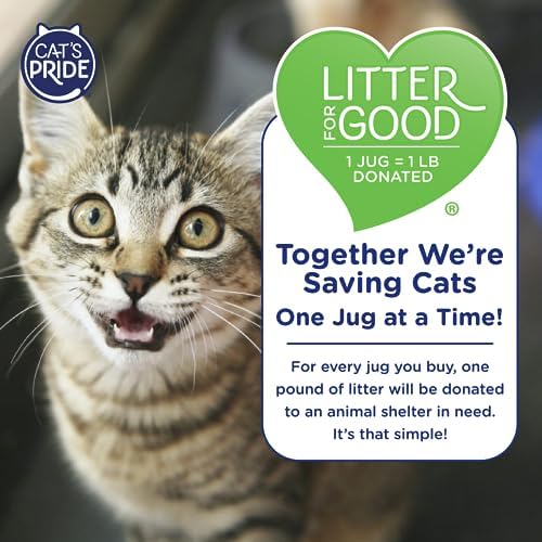 Cat's Pride Antibacterial Litter, Odor-Eliminating Scented 12lb - Image 6