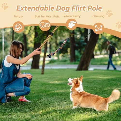 Flirt Pole for Dogs, Interactive Toys Tug-of-war for Pet, Durable Teaser Wand - Image 6