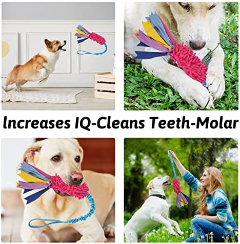 wodoca Dog Tug Toy - Image 4