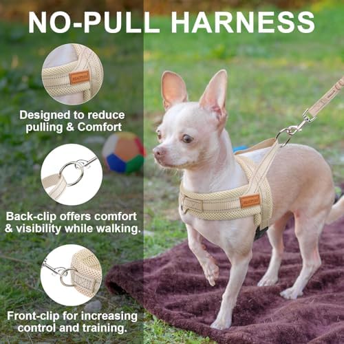 BEAUTYZOO Small Dog Harness and Leash Set, No Pull Step in Puppy Vest - Image 5