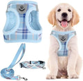 PUPTECK Dog Harness, Collar and Leash Set No Pull by PUPTECK