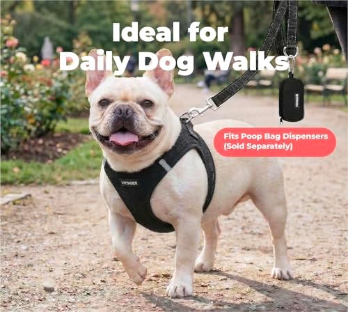 Best Pet Supplies Voyager Nylon Dog Leash - Image 3