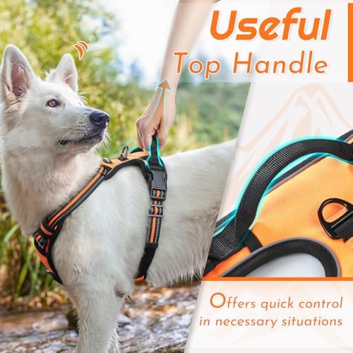 Eagloo Dog Harness for Large Dogs, No Pull Pet Vest - Image 4