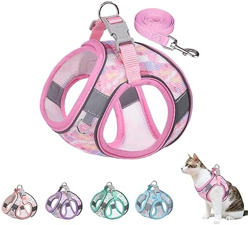 Step in Mesh Dog Harness and Leash Set by BTDCFY