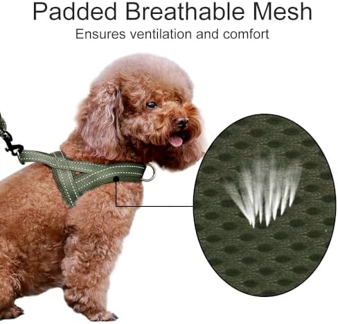 Plutus Pet No Pull Dog Harness for Medium Sized Dog, Breathable Mesh Padded - Image 3