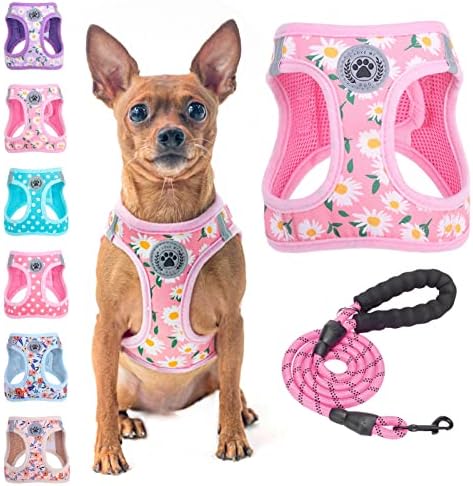 BEAUTYZOO Small Dog Harness and Leash Set, No Pull Puppy Pet Vest- Pink by BEAUTYZOO
