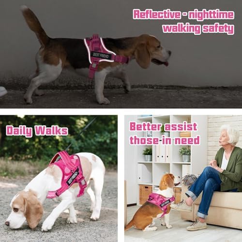 AUROTH Dog Harness for Large Dogs No Pull Tactical Harness and Leash Set - Image 2