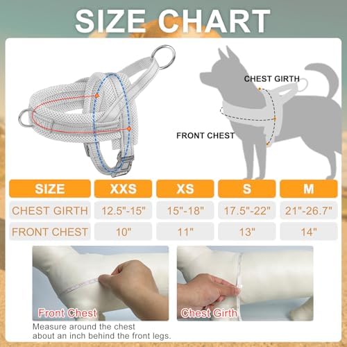 BEAUTYZOO Small Dog Harness and Leash Set, No Pull Step in Puppy Vest - Image 5