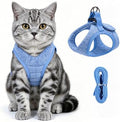HEYWEAN Cat Harness and Leash by HeyweanPleaseFollowMeForMoreNews
