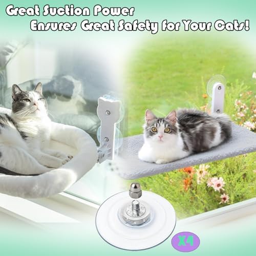 4 Pack Cat Window Perch Suction Cup - Image 3
