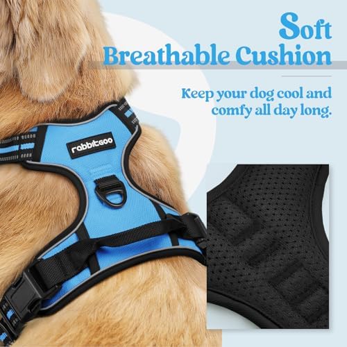 rabbitgoo Dog Harness, No Pull for Small Dogs - Image 2