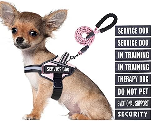 Service Dog Vest Harness and Leash Set, Animire in Training Dog Harness by Animire