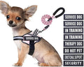 Service Dog Vest Harness and Leash Set, Animire in Training Dog Harness by Animire