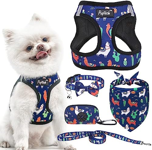 PUPTECK Dog Harness, Collar and Leash Set No Pull by PUPTECK