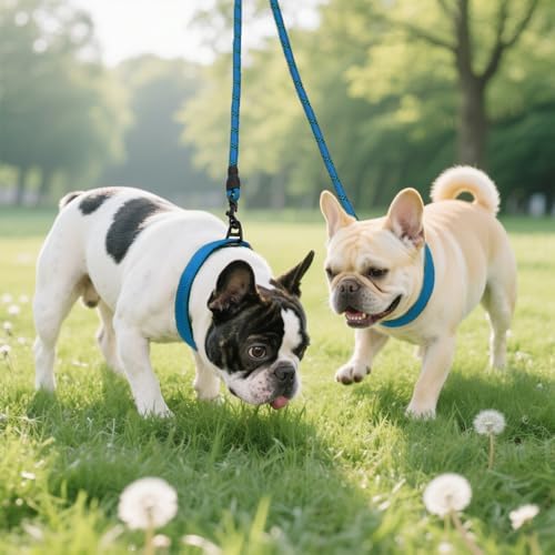 Taglory Double Dog Leash Coupler - Image 6