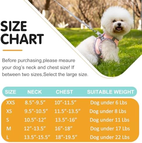 Dog Harness and Leash Set, No Pull Pet Harness - Image 6