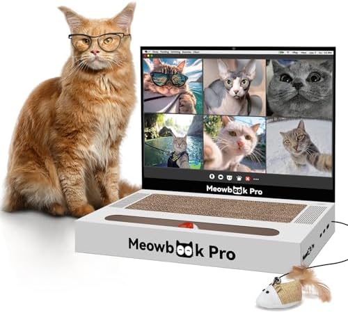 Cat Scratcher Laptop Cat Toy by AIWEILUCK