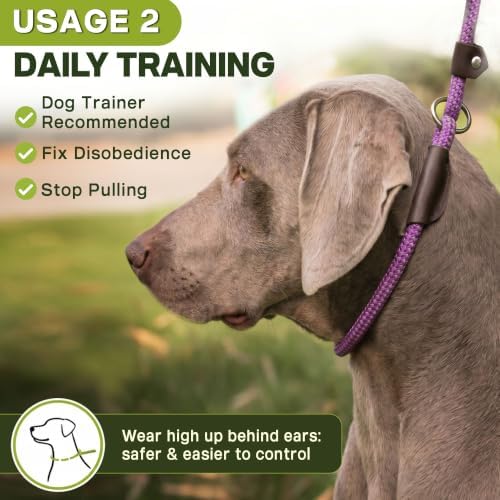 Fida Durable Slip Lead Dog Leash, 6 FT x 1/2" Dog Training Leash - Image 5