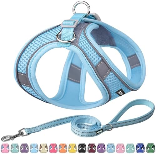 AIITLE Dog Harness and Leash Set, Step-in Puppy Pet Vest, Pure Blue S by AIITLE-FORPETSBETTERLIFE