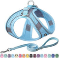 AIITLE Dog Harness and Leash Set, Step-in Puppy Pet Vest, Pure Blue XL by AIITLE-FORPETSBETTERLIFE